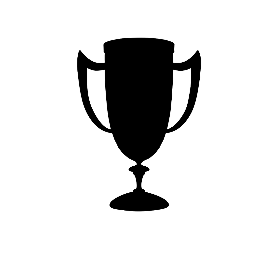 adoptez un winning mindset pour atteindre vos objectifs : conseils, techniques et inspirations pour développer un état d'esprit positif et gagner dans tous les domaines de votre vie.
